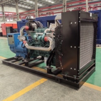 200kw 250kw 500kw 1000kw Alemania MAN unidades de cogeneración de gas metano natural planta de energía CHP
