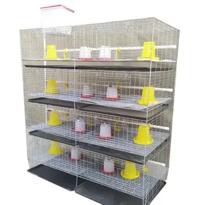 Best Selling Hot Galvanized 4 Tiers Capacity 160 Chickens Baby Chicks Breeding Cage