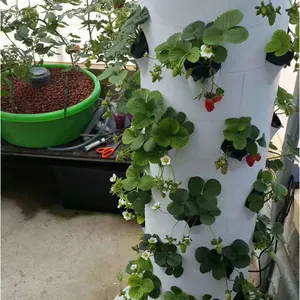 Tower Garden Aeroponic Growing Systems für Aquaponic Hydro ponic Vertical Grow Tower