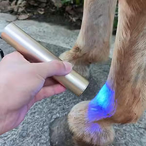 Caballo Luz roja Instrumento de tratamiento <span class=keywords><strong>veterinario</strong></span> Luz azul Infrarrojo cercano Lámpara de tratamiento del dolor Antorcha corporal - Product Image 1