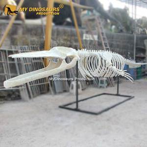 Mijn Dino <span class=keywords><strong>Aquarium</strong></span> Decor Levensgrote Blauwe Walvis Skelet Te Koop - Product Image 6