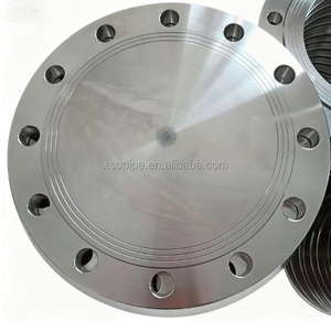 Mù mặt bích trống thép không gỉ 304/316 ANSI b16.5 giả mạo Ống cuối đóng cửa cho xử lý nước ngành công nghiệp khí công nghiệp JIS - Product Image 4