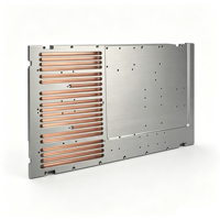 Plaque de refroidissement liquide OEM en cuivre intégré, échangeur de chaleur en alliage d'aluminium CNC pour l'électronique de puissance laser industrielle