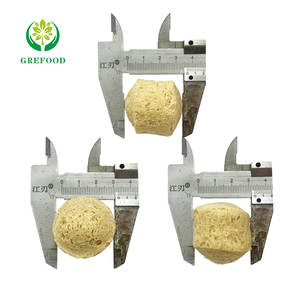 Getextureerde Soja-Eiwit Met Veerkrachtig Mondgevoel Voor Vleesvrije Dumplings Siomai En Visbalalternatieven Gratis Monster Tvp Veganistisch Vlees - Product Image 3