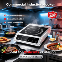 YHS Plaque de cuisson à induction électrique portable 3,5 kW à brûleur unique, en acier inoxydable, à commande tactile, pour usage commercial et domestique, compatible Hotpot