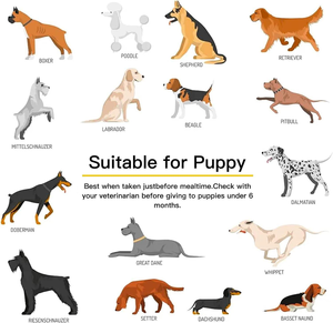 Fábrica de Suplementos para Mascotas OEM ODM Polvo de Limpieza Dental para Mascotas Cuidado Dental para <span class=keywords><strong>Perros</strong></span> El <span class=keywords><strong>Mejor</strong></span> Removedor de Placa para <span class=keywords><strong>Perros</strong></span> para Todas las Razas - Product Image 3
