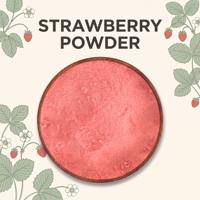 Aardbeipoeder, Aardbeienextract, Aardbeien fruit- en groentepoeder, Meerdere specificaties op voorraad, Gratis verzending