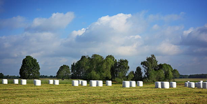 Film d'emballage pour balles de foin en LLDPE agricole, 50 cm, rigide, haute résistance, pour l'emballage, haute adhérence, résistant aux déchirures, à l'humidité et aux UV - Product Image 5