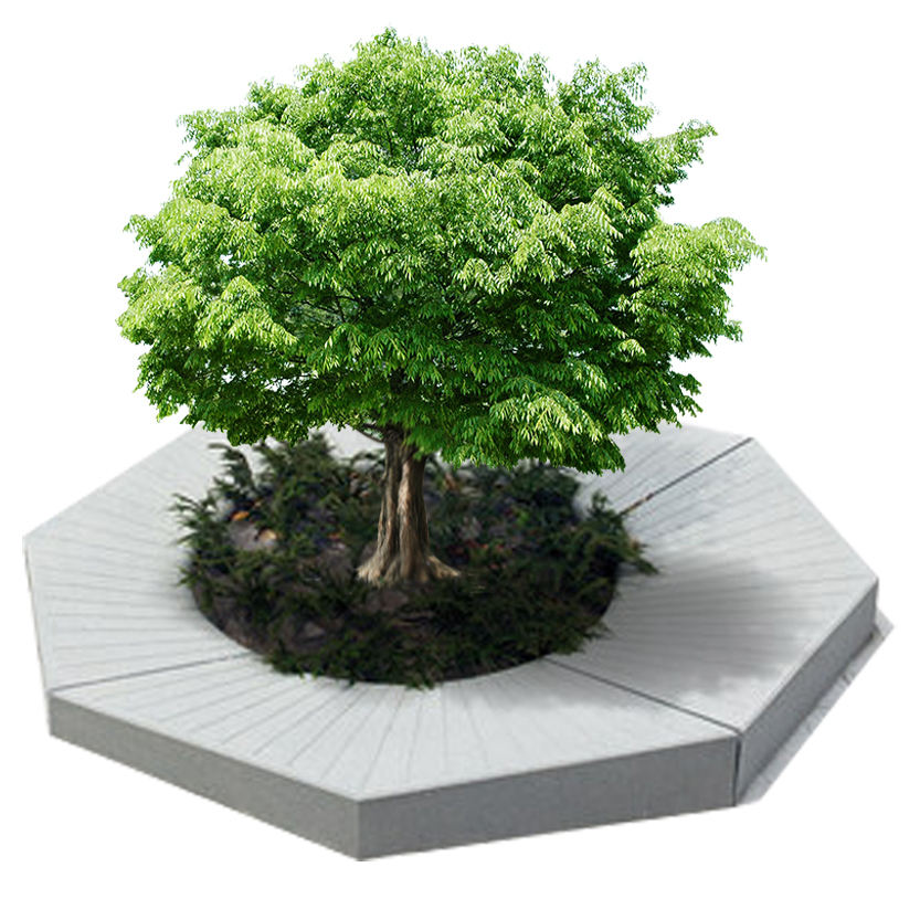 กำหนดเอง