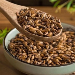 Adult Loose Leaf Barley <strong>Tea</strong> <strong>Slimming</strong> <strong>Tea</strong> in Teabag Packaging - Product Image 2