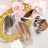 40 Plumes de Faisan Naturelles en Gros, Plumes Tachetées, 5 Styles Mixtes pour Artisanat, Bricolage, Chapeaux, Arrangements Floraux, Mariages