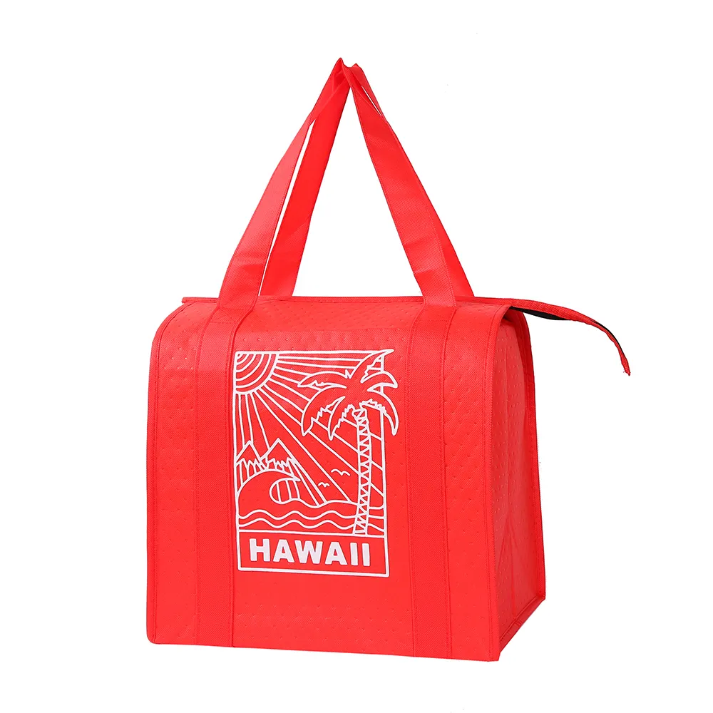 Sacchetti di raffreddamento in tessuto Non tessuto riciclato borsa isolata con Logo stampato personalizzato per la consegna di cibo