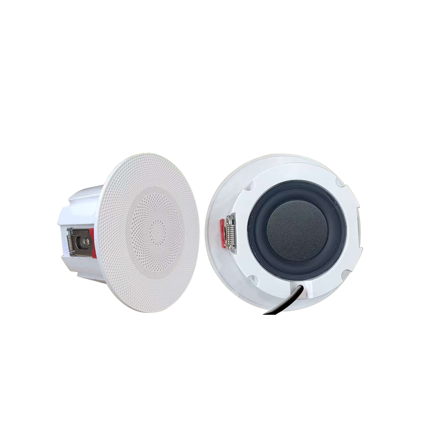 YZ102BT Smart Home Wireless WiFi BT Ceiling Speaker for Home Living Room Horn Wall Broadcast for Shop Restaurant for Ceiling