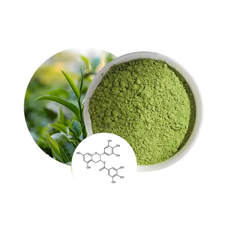 La polvere di tè verde Matcha di qualità perfetta può essere una bevanda saporita e confortante o aggiungere ai dessert in qualunque momento