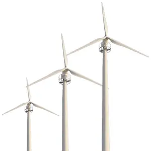 Vendita calda alta efficienza 3 lame 5kw 10kw 20kw 380v 220v 120v forte turbina eolica orizzontale