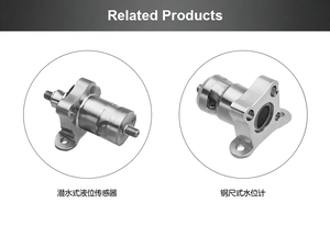 เซ็นเซอร์วัดระดับน้ำความแม่นยำสูง 0.5%F.S พร้อมวัสดุสแตนเลส 316L และได้รับการรับรองมาตรฐาน CE สำหรับบ่อน้ำลึก - Product Image 2