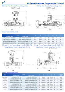 ईगल समायोज्य दिशा दबाव गेज वाल्व 315 बार r g m थ्रेड सीधे कोण स्टेनलेस स्टील उपकरण - Product Image 3
