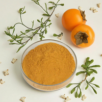 Groothandel In Bulk 100% Natuurlijke Food Grade Persimmon Fruit Extract Poeder Kruidensupplement Plant Laat Water Extractiezak