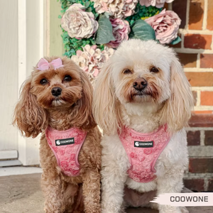 Benutzer definierte Logo-Muster Blume Haustier Geschirr Leine Set Valentinstag Weiche verstellbare Welpen Hund Geschirr Weste für kleine Hunde Katzen Geschenk - Product Image 3