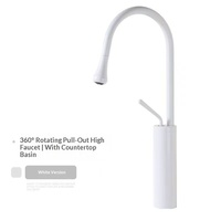 Robinet de lavabo moderne simple en acier inoxydable à poignée unique rotative pour eau chaude et froide