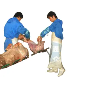 Pig Slaughter Equipment Pig Carcass Dressing Line Machine For Abattoir