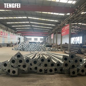Tengfei 10 15 20 25 30 ft Chất lượng cao nhúng nóng mạ kẽm đường ánh sáng cực đèn bài - Product Image 3