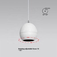 Luminaire suspendu ovale en aluminium réglable, long lustre avec LED à intensité variable pour chambre à coucher, salon, salle à manger
