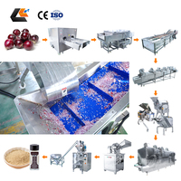 500 kg/u Uienschiller Uienschil- en snijmachine Ui poeder productiemachine Gemberdroger Ui poeder productielijn