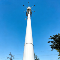 Tour monopode en acier galvanisé Q235B de 30 m à longue durée de vie pour couverture Wi-Fi complète, idéale pour les zones industrielles et les nouvelles banlieues