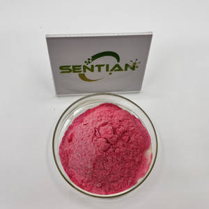 Poudre d'extrait de fraise lyophilisée en poudre de jus de fruit de fraise naturelle de haute qualité - Product Image 4
