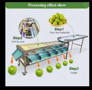 Machine de tri de fruits économique et haute performance, équipement automatique de tri de fruits pour dattes, kiwis et petites baies - Product Image 2