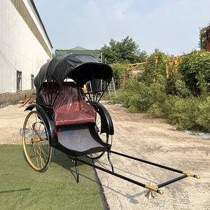 Carruaje de Caballos Estilo Antiguo en Venta, Carroza Clásica con Caballos - Product Image 6