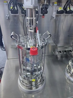 Équipement de fermentation, cuve de fermentation, fermentateur en acier inoxydable, Saccharomyces Ferment