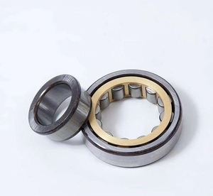 Source Factory NU224E Direct <b>Roller</b> Compatible Motors Long-Life Bearing - Product Image 4