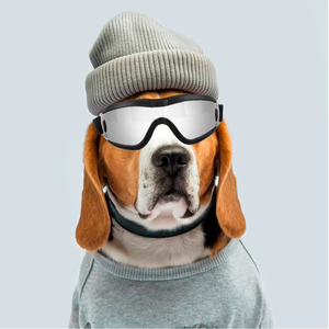 Lunettes de soleil pour <span class=keywords><strong>chien</strong></span> écologiques et tendance avec sangle réglable, protection UV, anti-poussière/anti-vent, motif à pois, pour l'été - Product Image 5