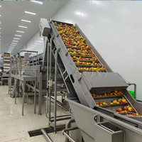 Productielijn voor het reinigen van lychee fruit en groenten