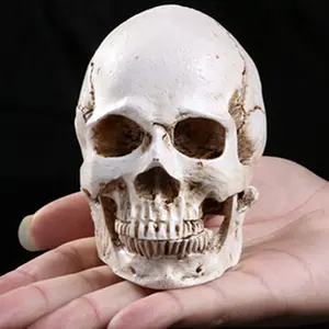 Skull Mini Skull Head Halloween Skull Ornament Decorative Sculpture Gift For Halloween Resin Simulation Skull