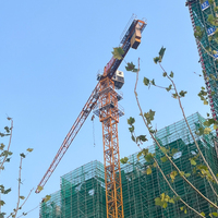 Grúa Torre Plana de 4-20T Fabricada en China, de Segunda Mano, Motor de Elevación Pesada, Caja de Cambios, Motor de Alta Eficiencia, Alcance de 40-80m, Aprobado por CE