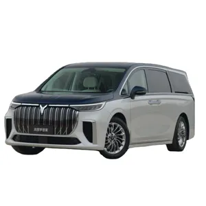 Luxury Interior MPV Voyah Brand 5door 4seat Best Quality Motor And Appearance Dreamer Model