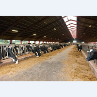 Structure en acier préfabriquée personnalisable pour l'élevage : abri/étable pour moutons, chèvres, porcs, bovins, volailles
