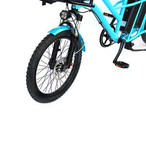 Bicicleta Eléctrica de Tres Ruedas de 20 Pulgadas con Marco de Aleación y Batería de Litio Grande de 48V/500W, Color Azul, Venta Caliente de Fábrica - Product Image 5