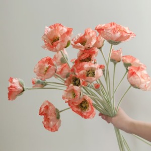 <span class=keywords><strong>Fleurs</strong></span> artificielles de pavot réalistes de haute qualité à 5 têtes avec flocage pour la décoration de mariage, <span class=keywords><strong>fleurs</strong></span> artificielles pour hôtel - Product Image 2