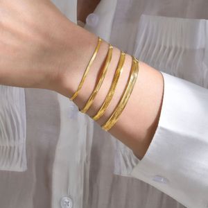 EManco Bracciali a Catena Piatta Stile Serpente 2/3/4/5mm, Placcati in Oro, Catena Piatta a Spina di Pesce in Acciaio Inossidabile per Donna - Product Image 2