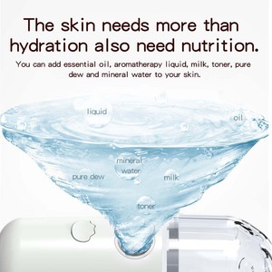 Hot Selling Portable Mini Facial Nano Ionic Facial Steamer <strong>Moisturizer</strong> Handy Nano <strong>Spray</strong> - Product Image 3