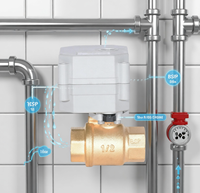 Vanne à boisseau sphérique électrique en laiton ETRANY 1/2'' DC5V BSP NPT avec contrôle WiFi, régulation de liquide à haute température, télécommande par téléphone mobile