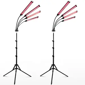 Infrared Therapy Beautify Device 660nm Red Light+850nm Infrared Light Floor Lamp For Treating Back Beauty