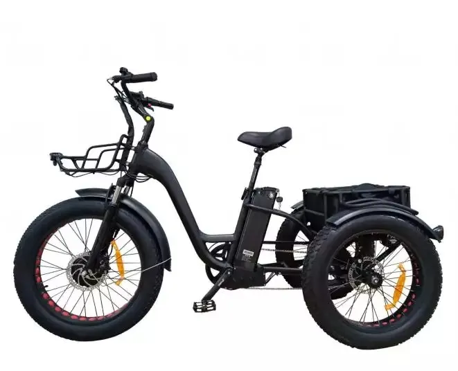 Bicicletta elettrica da carico a tre ruote con pneumatici grassi