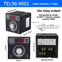 Controlador de Temperatura Digital TUOBANG TEL96-9001X Tipo K/E 220V/380V Universal ODM/OEM Termostato Industrial para Hornos