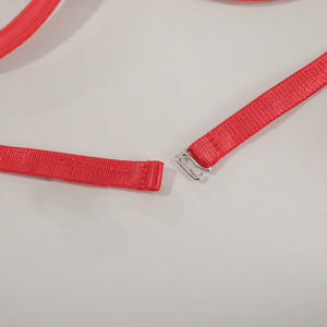 طقم ملابس داخلية أوروبية وأمريكية مثيرة طقم حمالة صدر وسراويل داخلية جذابة 13876 - Product Image 5