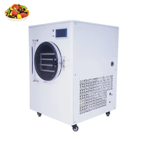 Machine de lyophilisation sous vide de laboratoire de paillasse de grande capacité Lyophilisateur Piloti pour labb